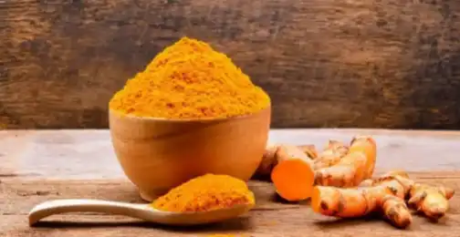 Is curcumin safe for dogs?